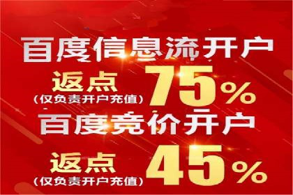 百度推广竞价策略解析及实战案例
